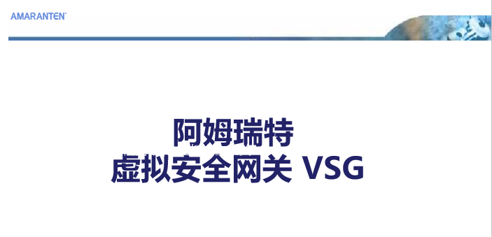 VSG1.png