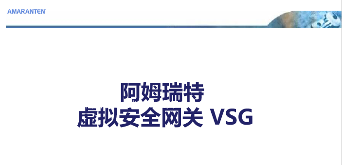 阿姆瑞特代理商 之阿姆瑞特虚拟化安全解决方案